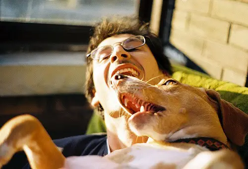 Dental Hygene