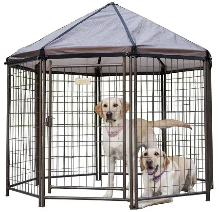 Advantek Pet Gazebo Modular Outdoor Dog Kennel.