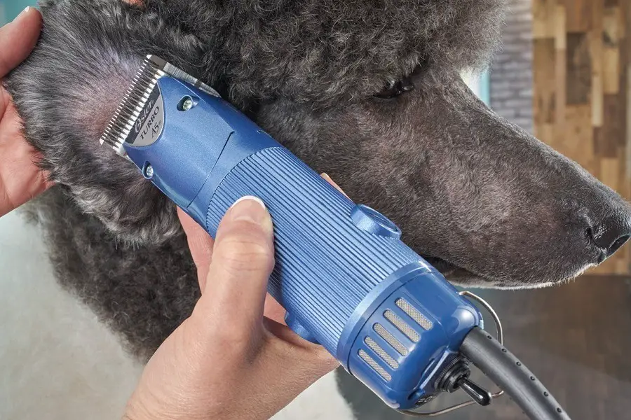 oster turbo a5 dog clippers